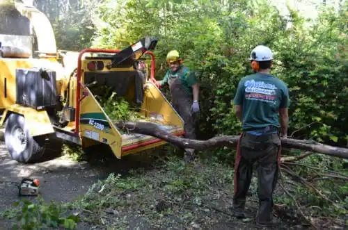 tree services Fort Meade